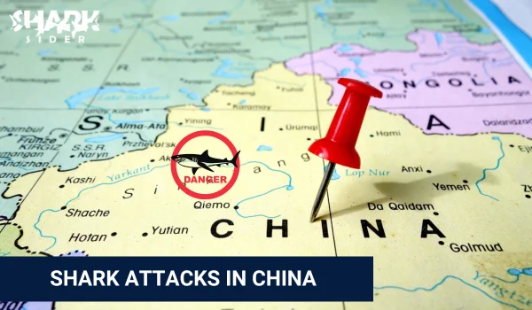 Shark Attacks in China