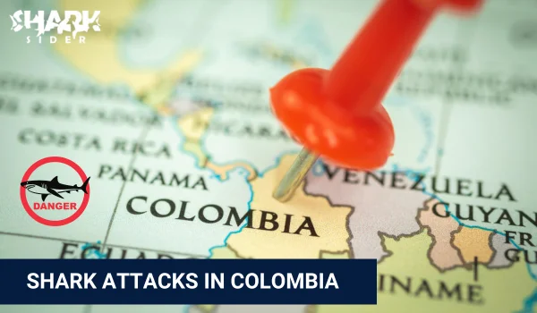Shark Attacks in Colombia