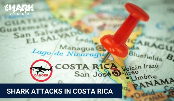 Shark Attacks in Costa Rica