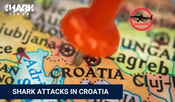 Shark Attacks in Croatia