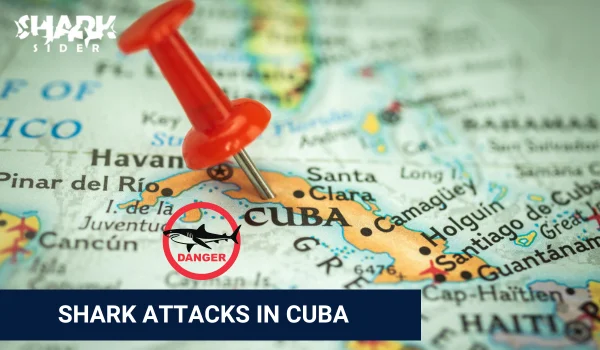 Shark Attacks in Cuba