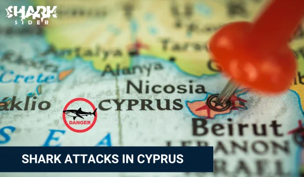 Shark Attacks in Cyprus