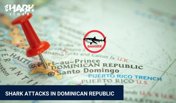 Shark Attacks in Dominican Republic
