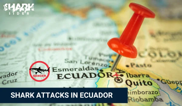 Shark Attacks in Ecuador