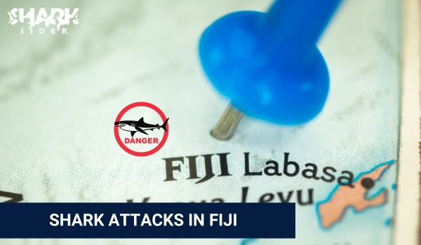 Shark Attacks in Fiji
