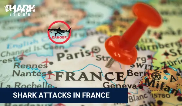 Shark Attacks in France