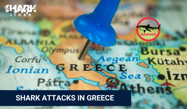 Shark Attacks in Greece