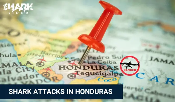 Shark Attacks in Honduras