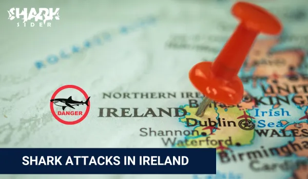 Shark Attacks in Ireland