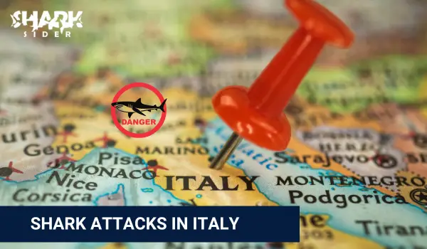 Shark Attacks in Italy
