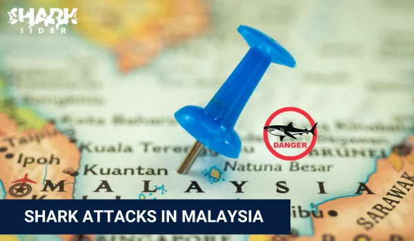 Shark Attacks in Malaysia