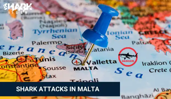 Shark Attacks in Malta