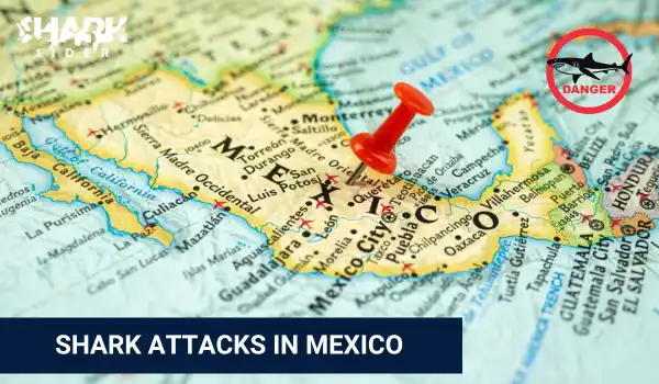 Shark Attacks in Mexico