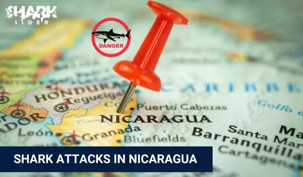 Shark Attacks in Nicaragua