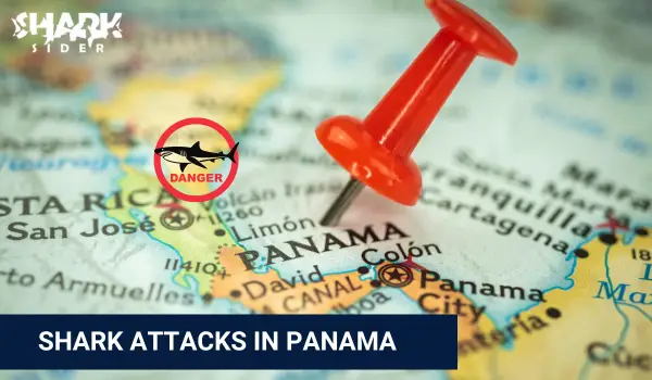 Shark Attacks in Panama