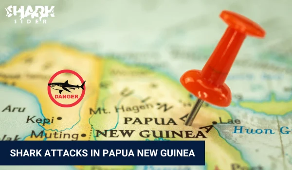 Shark Attacks in Papua New Guinea