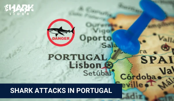 Shark Attacks in Portugal