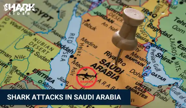 Shark Attacks in Saudi Arabia