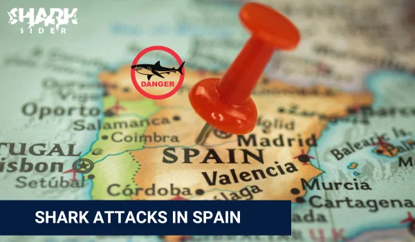 Shark Attacks in Spain