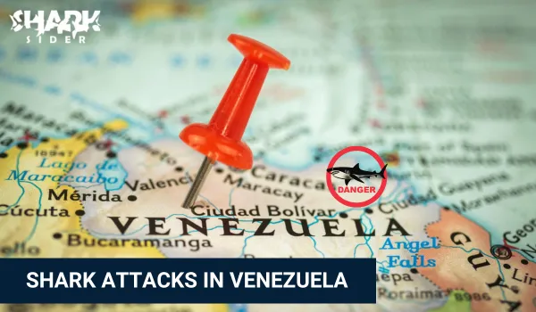 Shark Attacks in Venezuela