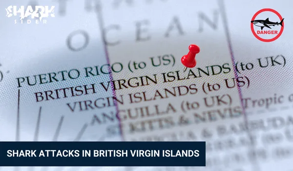 Shark Attacks in British Virgin Islands