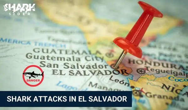 Shark Attacks in El Salvador