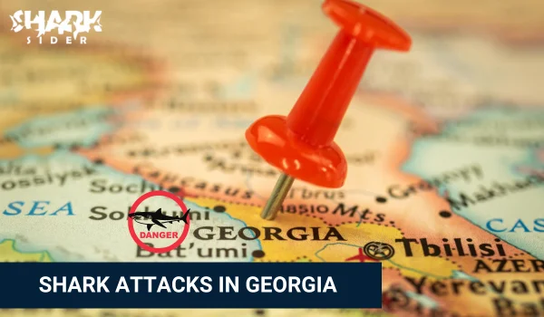 Shark Attacks in Georgia