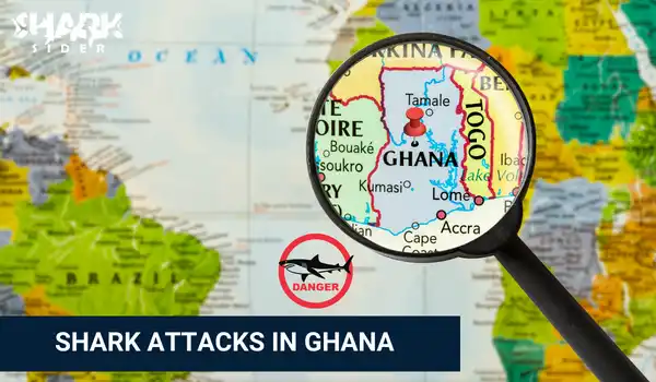 Shark Attacks in Ghana