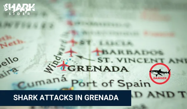 Shark Attacks in Grenada