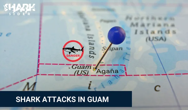 Shark Attacks in Guam