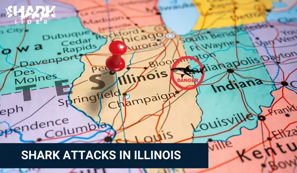 Shark Attacks in Illinois