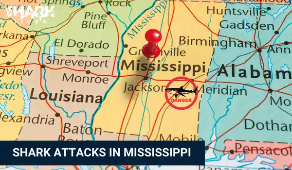 Shark Attacks in Mississippi
