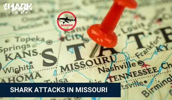 Shark Attacks in Missouri
