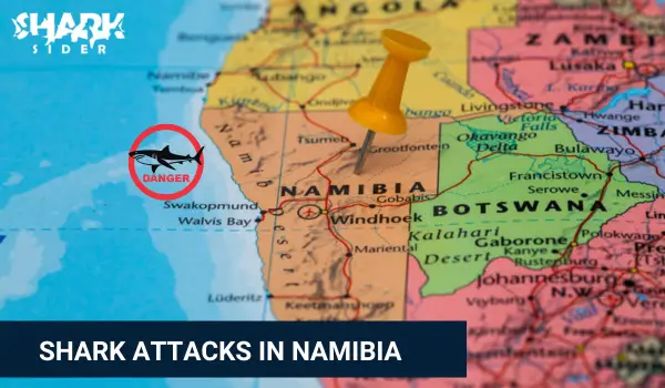 Shark Attacks in Namibia
