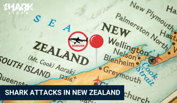 Shark Attacks in New Zealand