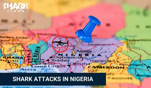 Shark Attacks in Nigeria