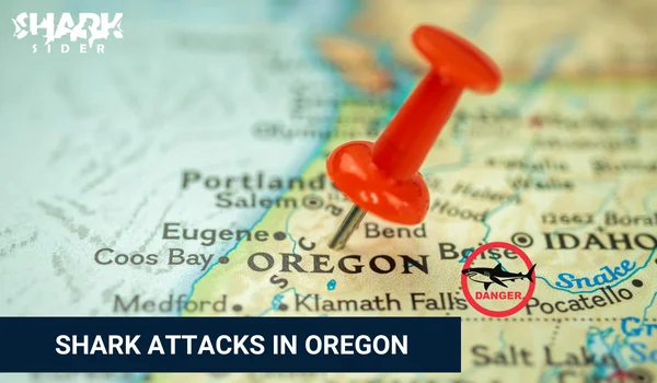 Shark Attacks in Oregon