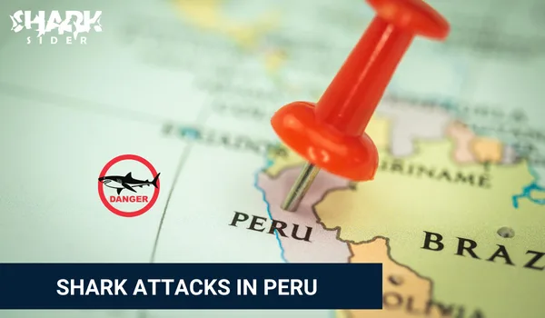 Shark Attacks in Peru