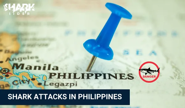 Shark Attacks in Philippines