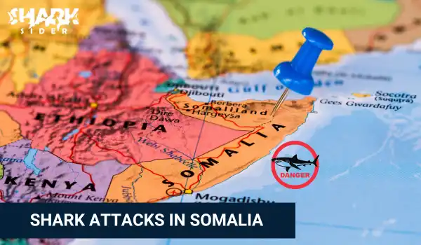 Shark Attacks in Somalia