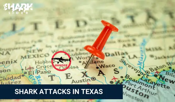Shark Attacks in Texas