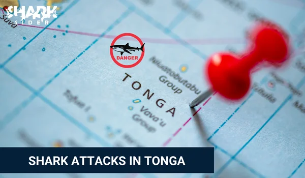Shark Attacks in Tonga