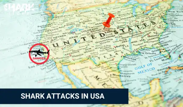 Shark Attacks in USA