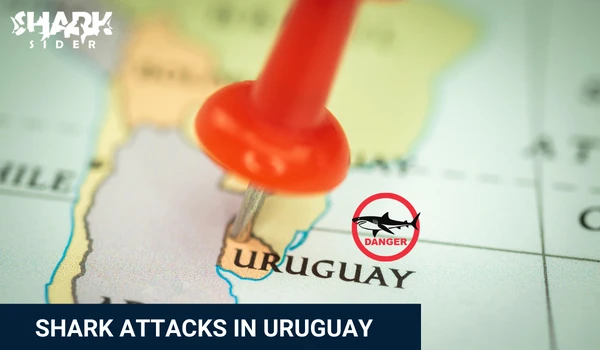 Shark Attacks in Uruguay
