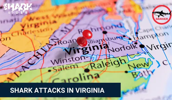 Shark Attacks in Virginia